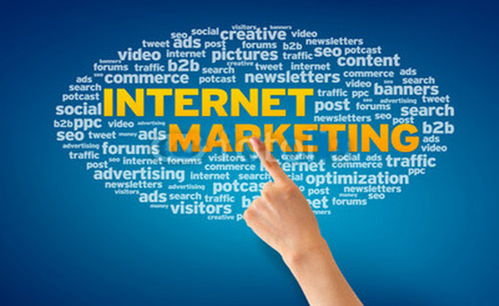 網(wǎng)絡(luò)營(yíng)銷(xiāo)技巧與品牌推廣之道 策略、技術(shù)與實(shí)踐